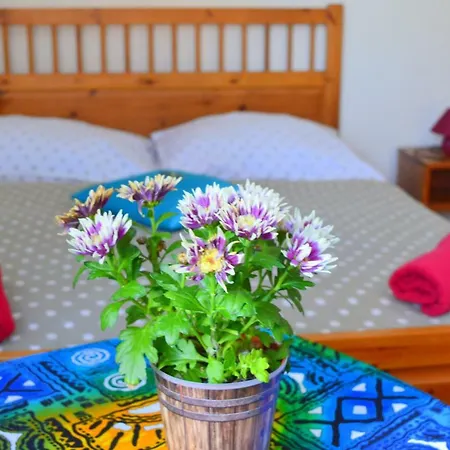 Guest house Harmonie - Horni Marsov