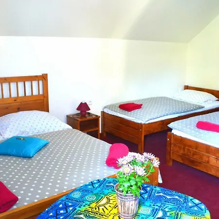 Harmonie - Guest house Horni Marsov